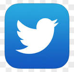 指定链接  随机定制  不要乱拍